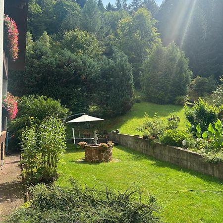 Pension Ernst Im Herzen Des Pfaelzerwaldes Mit Kueche Hotel Elmstein ภายนอก รูปภาพ