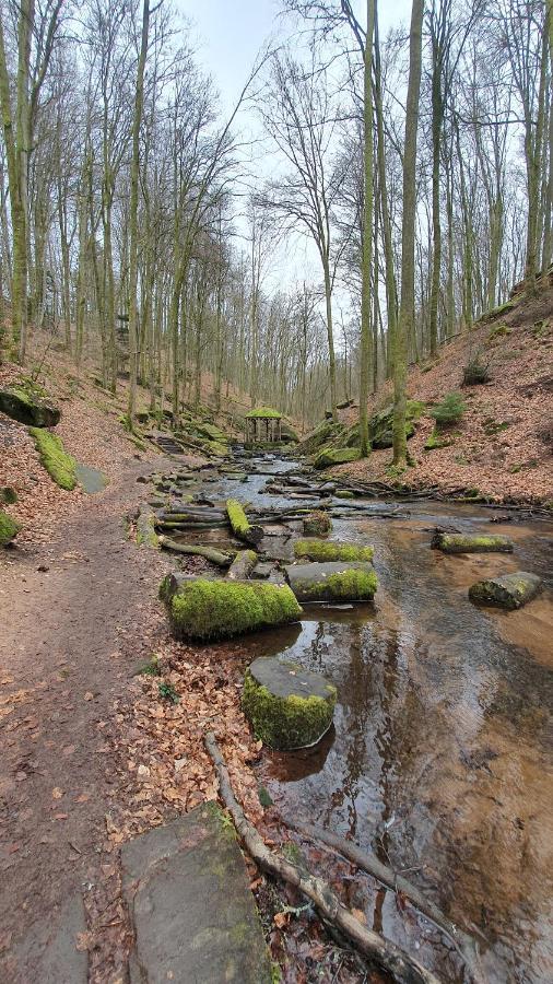 Pension Ernst Im Herzen Des Pfaelzerwaldes Mit Kueche Hotel Elmstein ภายนอก รูปภาพ
