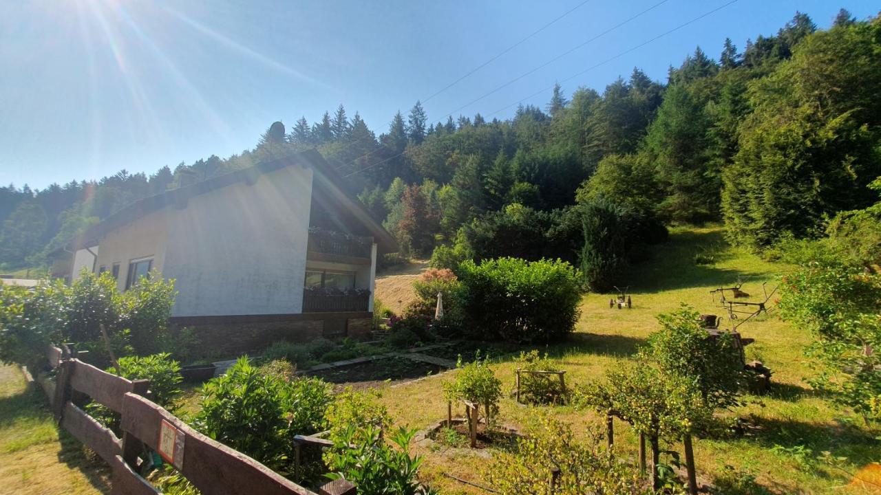 Pension Ernst Im Herzen Des Pfaelzerwaldes Mit Kueche Hotel Elmstein ภายนอก รูปภาพ