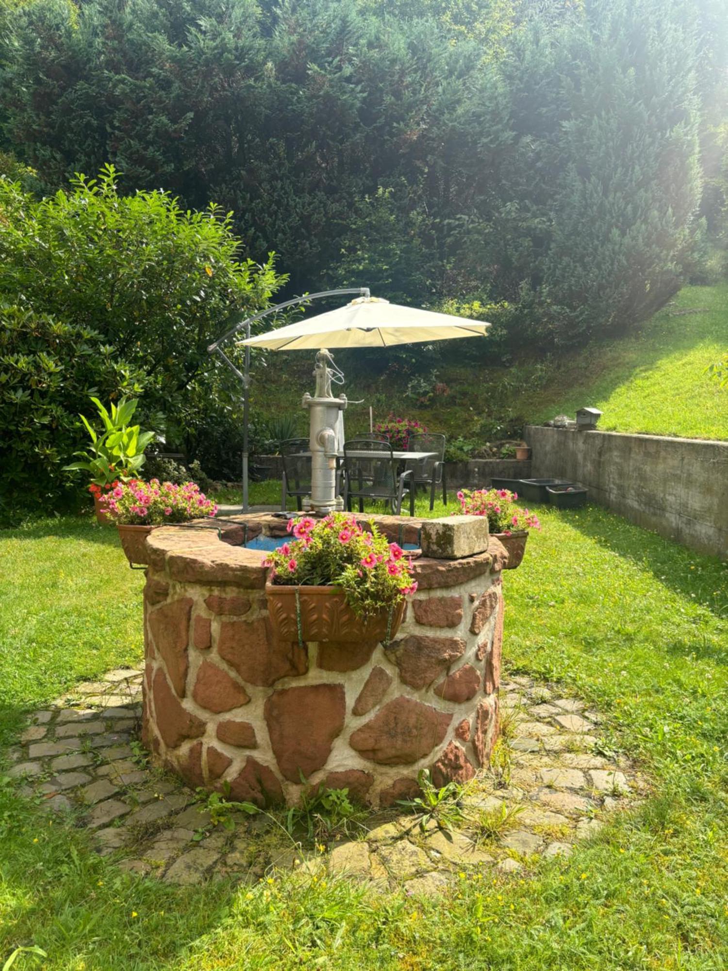 Pension Ernst Im Herzen Des Pfaelzerwaldes Mit Kueche Hotel Elmstein ภายนอก รูปภาพ