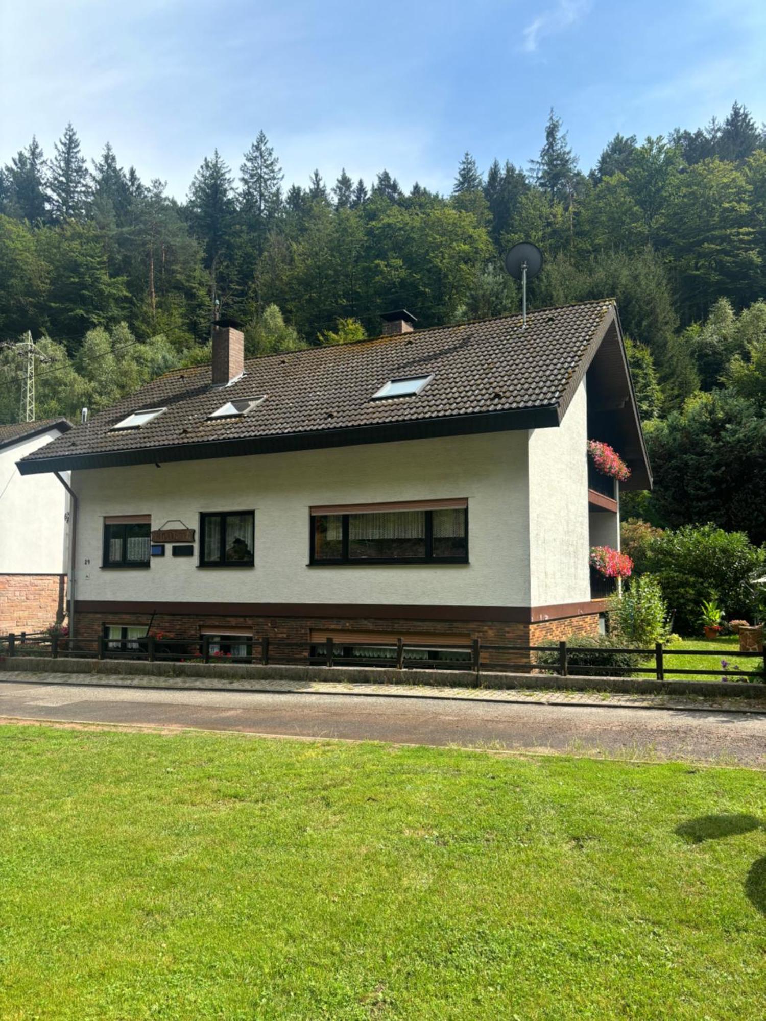 Pension Ernst Im Herzen Des Pfaelzerwaldes Mit Kueche Hotel Elmstein ภายนอก รูปภาพ
